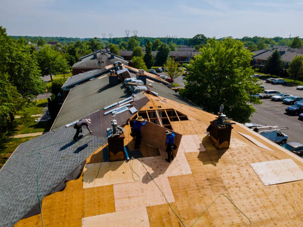Best Commercial Roofing Services  in Lewiston, MN