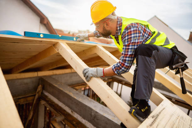 Best New Roof Installation  in Lewiston, MN