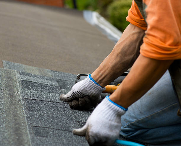 Roof Waterproofing Services in Lewiston, MN