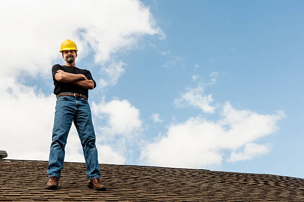 Best Roof Gutter Cleaning  in Lewiston, MN