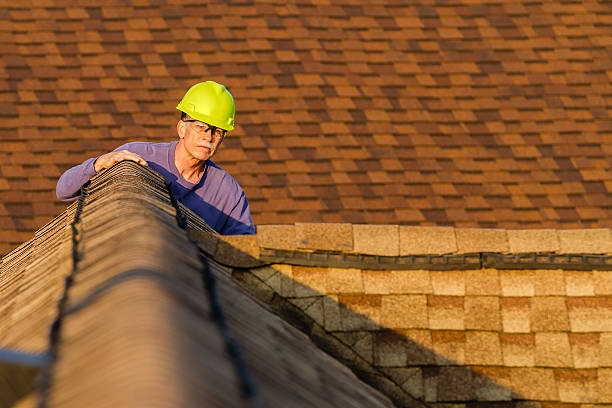 Best Slate Roofing Contractor  in Lewiston, MN